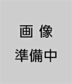 オリジナル抽選箱（大）100部以上