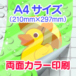 BPOS-a4-4c4c-n7